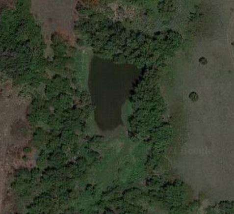 Pond - google maps.JPG